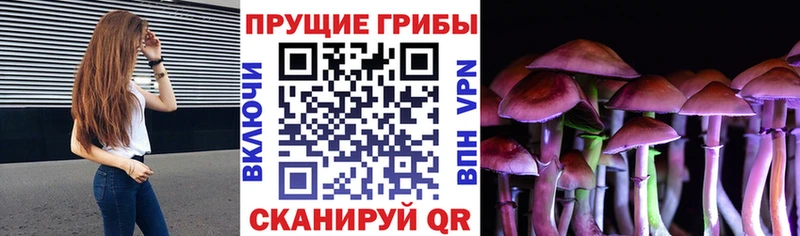 Галлюциногенные грибы мицелий  где можно купить наркотик  Грязи 